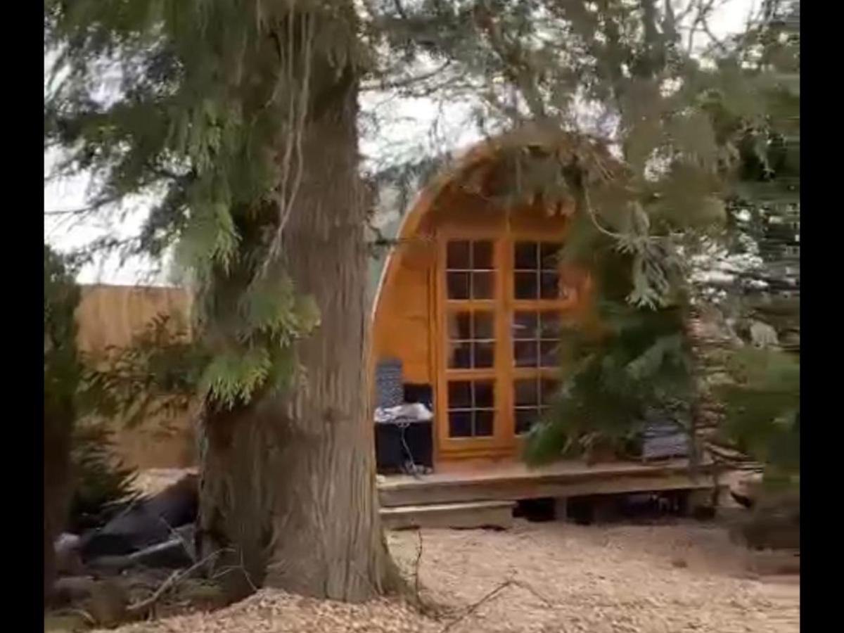 Pinkys Pod At Rock Luxury tent *